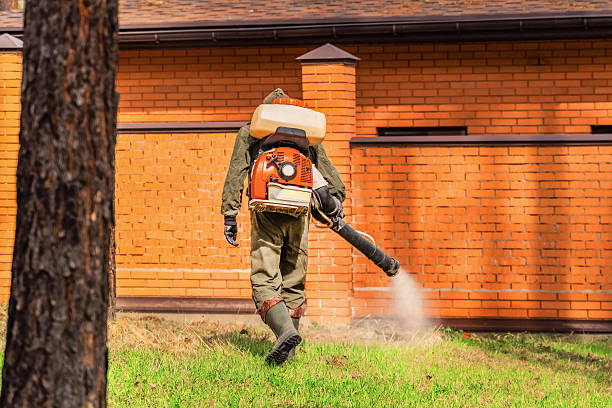 Bed Bug Clearance Verification and Documentation in Buffalo